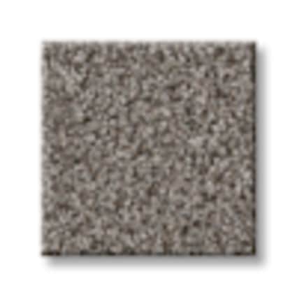 Shaw Hudson River Starling Texture Carpet with Pet Perfect Plus-Sample